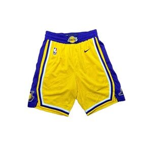 Nike Los Angeles Lakers Icon Edition Swingman Shorts AJ5617-728 Small 30 Lebron